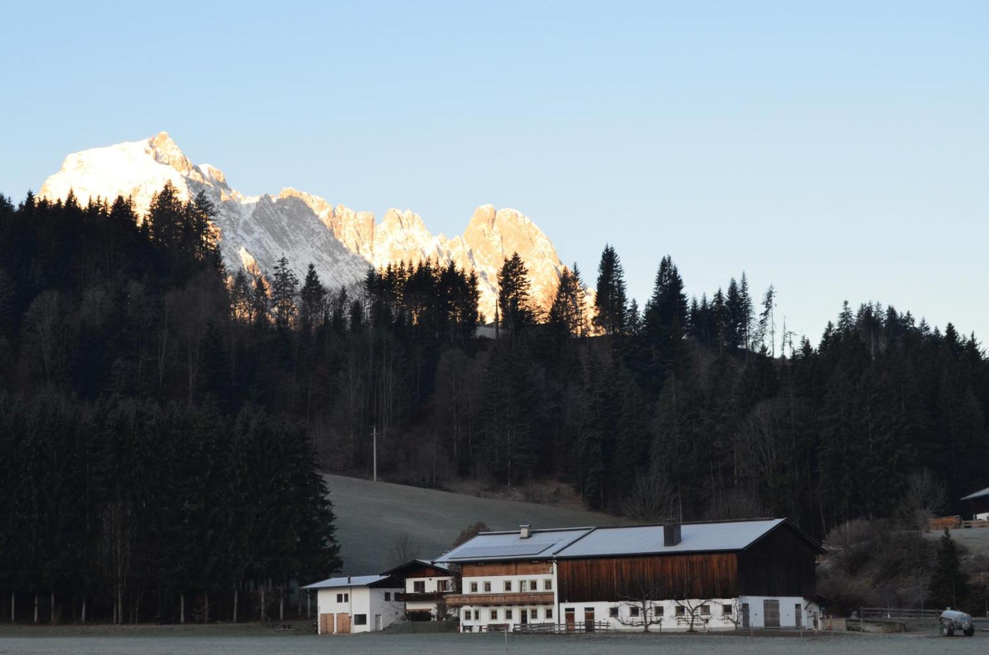 Haus Treffer Hotel Kirchdorf in Tirol Exterior photo